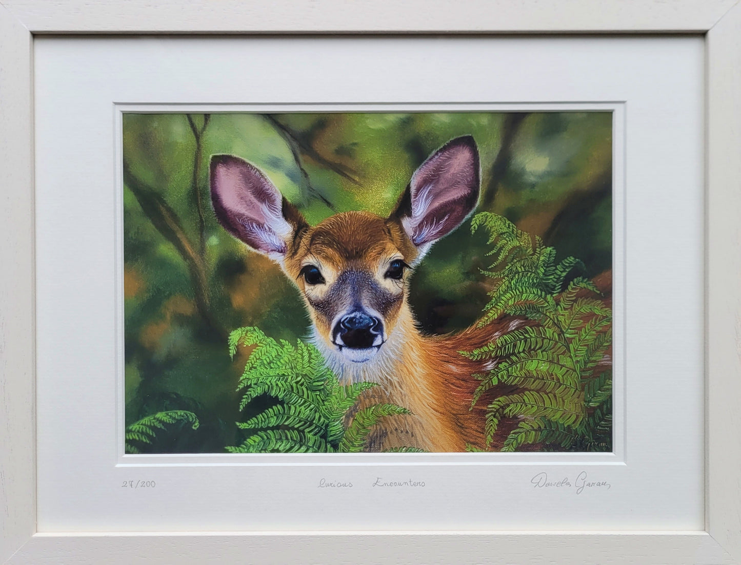 Curious Encounters - Limited Edition Print