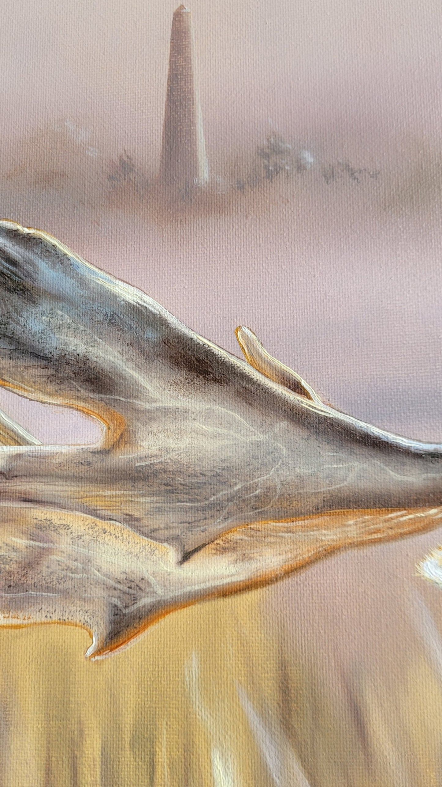 close-up of a fallow deer antler