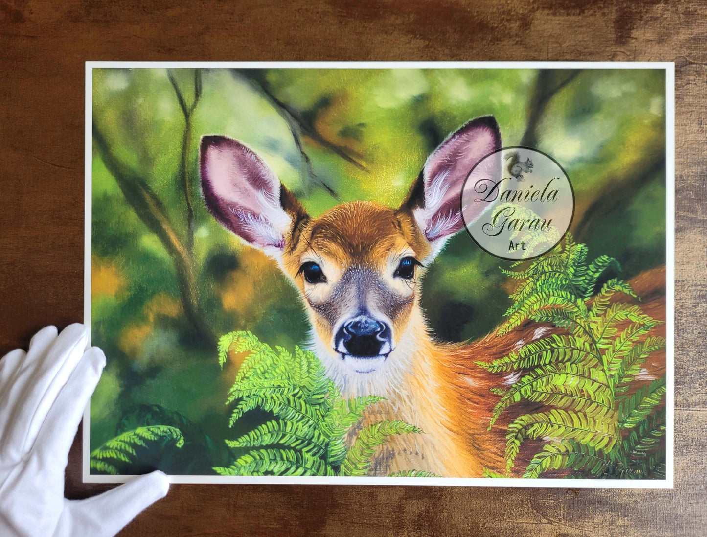 Curious Encounters 55 x 43 cm