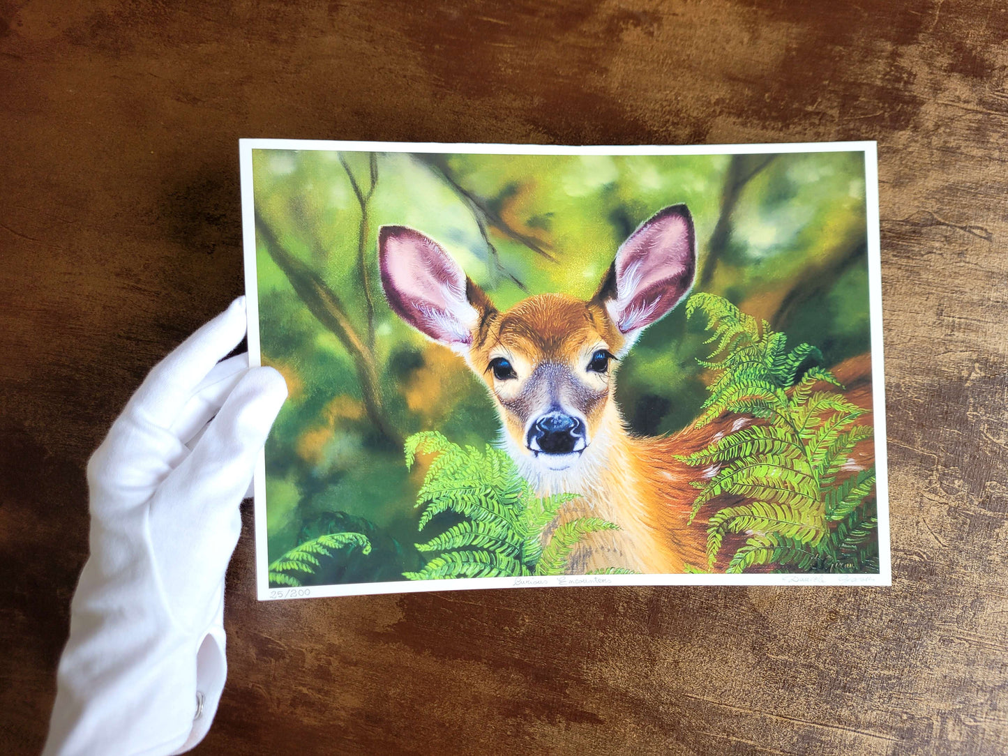 Curious Encounters - Limited Edition Print