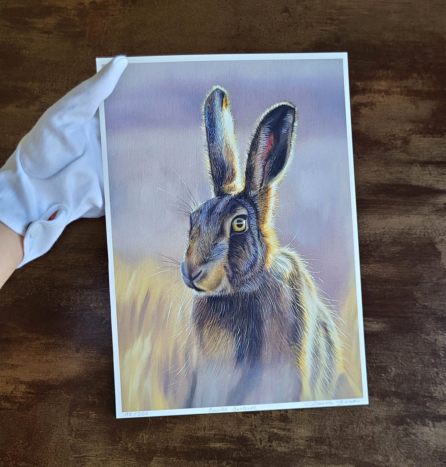 Sunlit Sentinel - Limited Edition Print