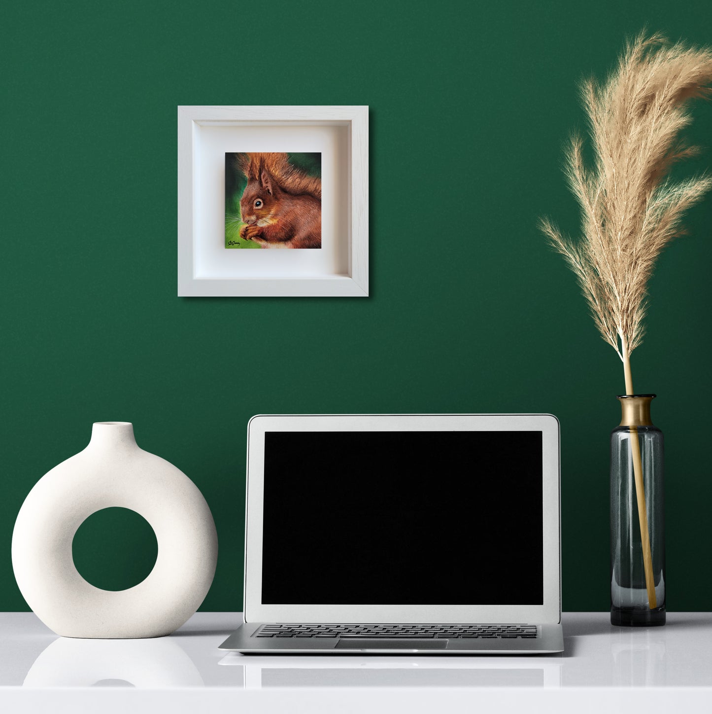 The little forager - The Red Squirrel