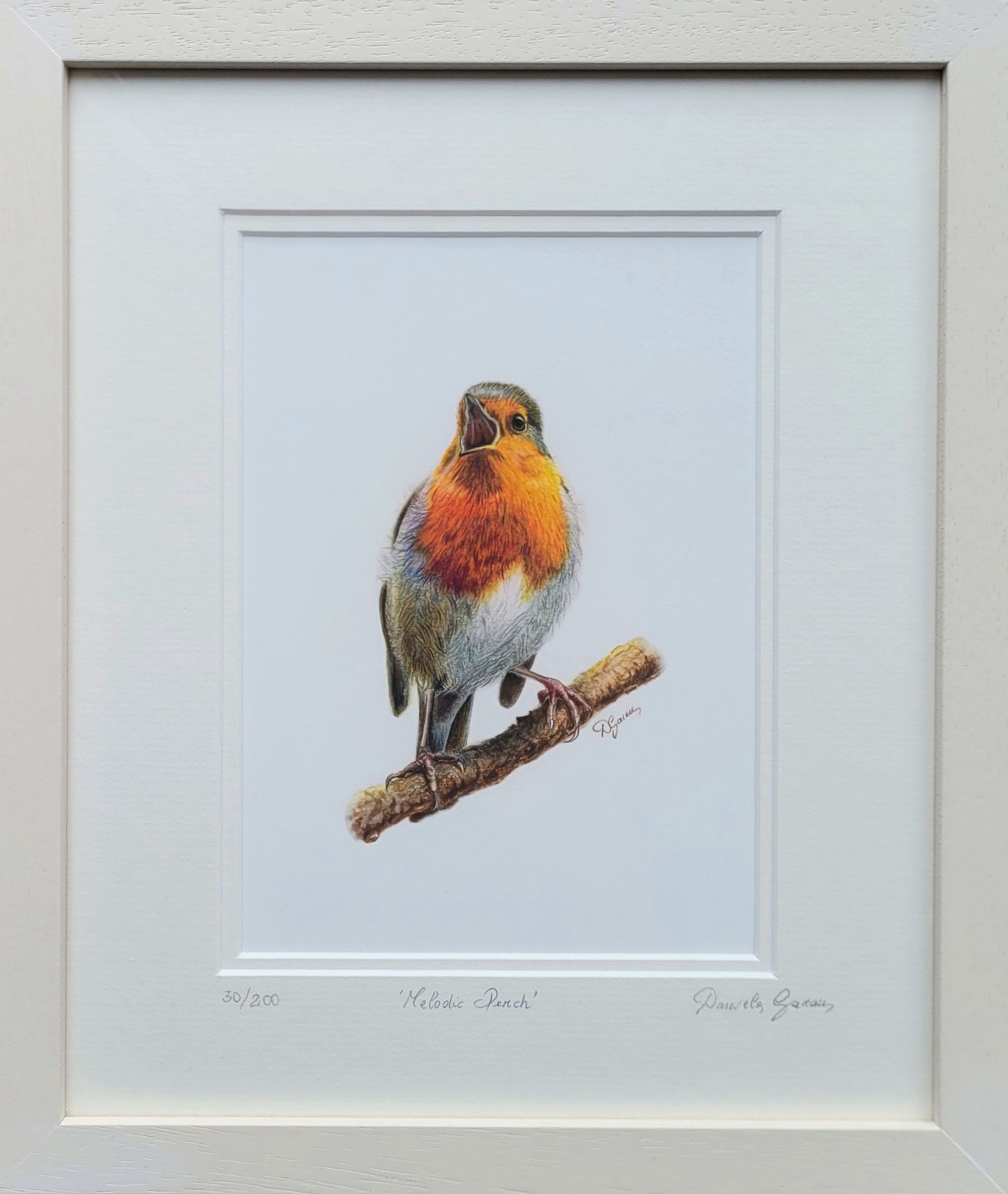 Melodic Perch: The Redbreast Robin - Limited Edition Print