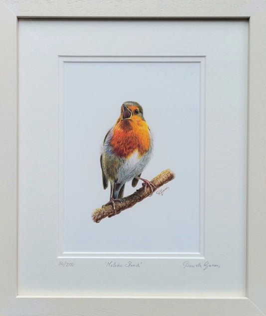 Melodic Perch: The Redbreast Robin - Limited Edition Print