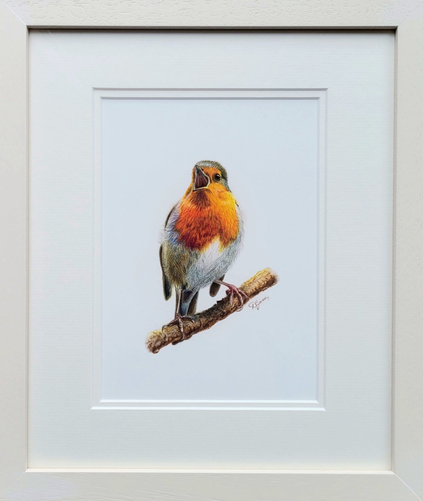 Melodic Perch: The Redbreast Robin 28 x 33 cm