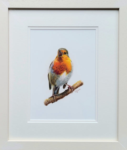Melodic Perch: The Redbreast Robin 28 x 33 cm