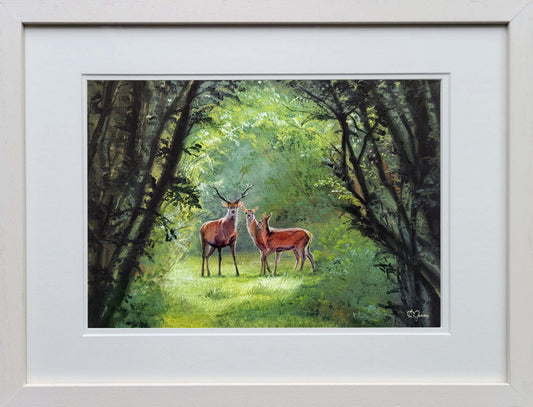 A Glimpse of Deer in Sunlight Serenity - 55 x 43 cm