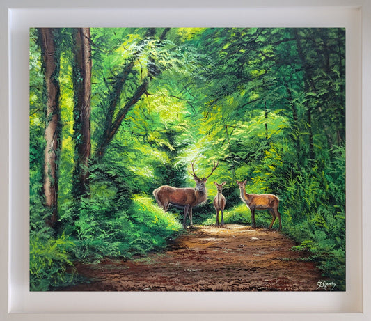 Echoes of Grace: Red Deer in Sunlight