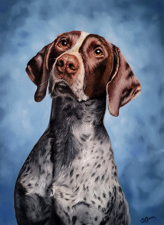 Eyes of Loyalty - The German Pointer