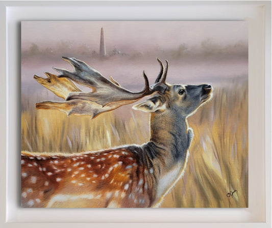 Fallow deer standing proud in Phoenix Park painting framed with a modern style frame