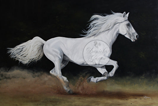 Large oil on deep edge canvas of a white horse running free. 