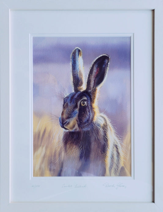 Sunlit Sentinel - Limited Edition Print