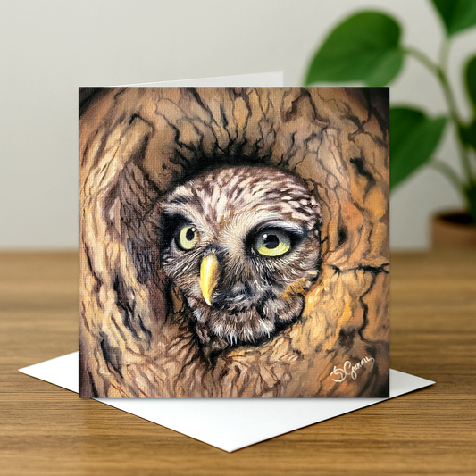 Card with an owl illustration peeking from a wooden crevice on a wooden surface.