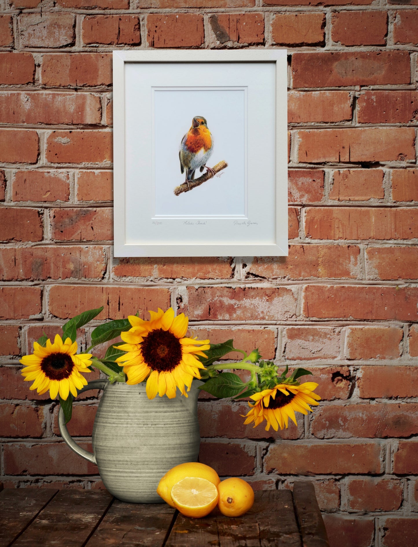 Melodic Perch: The Redbreast Robin 28 x 33 cm