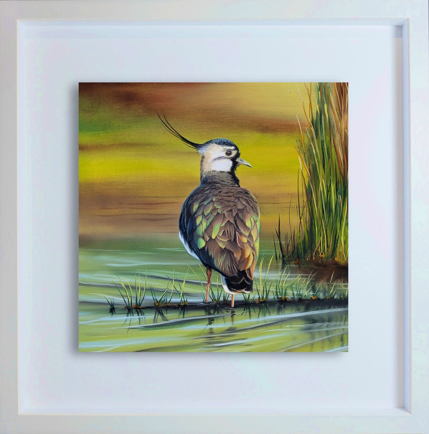Northern Grace: The Lapwing | Original Hyper-Realistic Bird Oil Painting