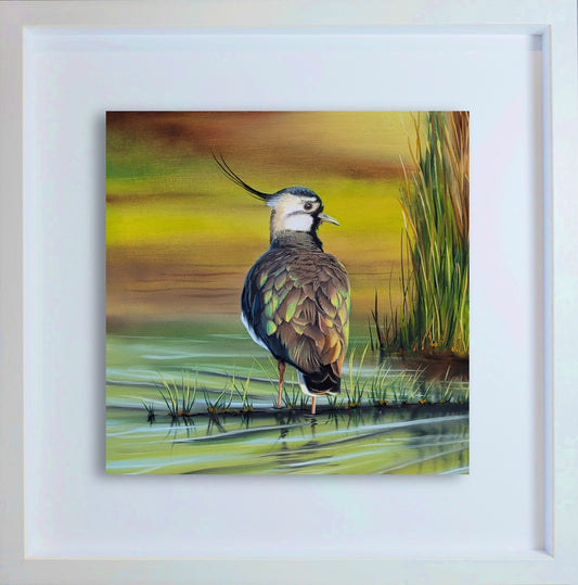 Northern Grace: The Lapwing | Original Hyper-Realistic Bird Oil Painting