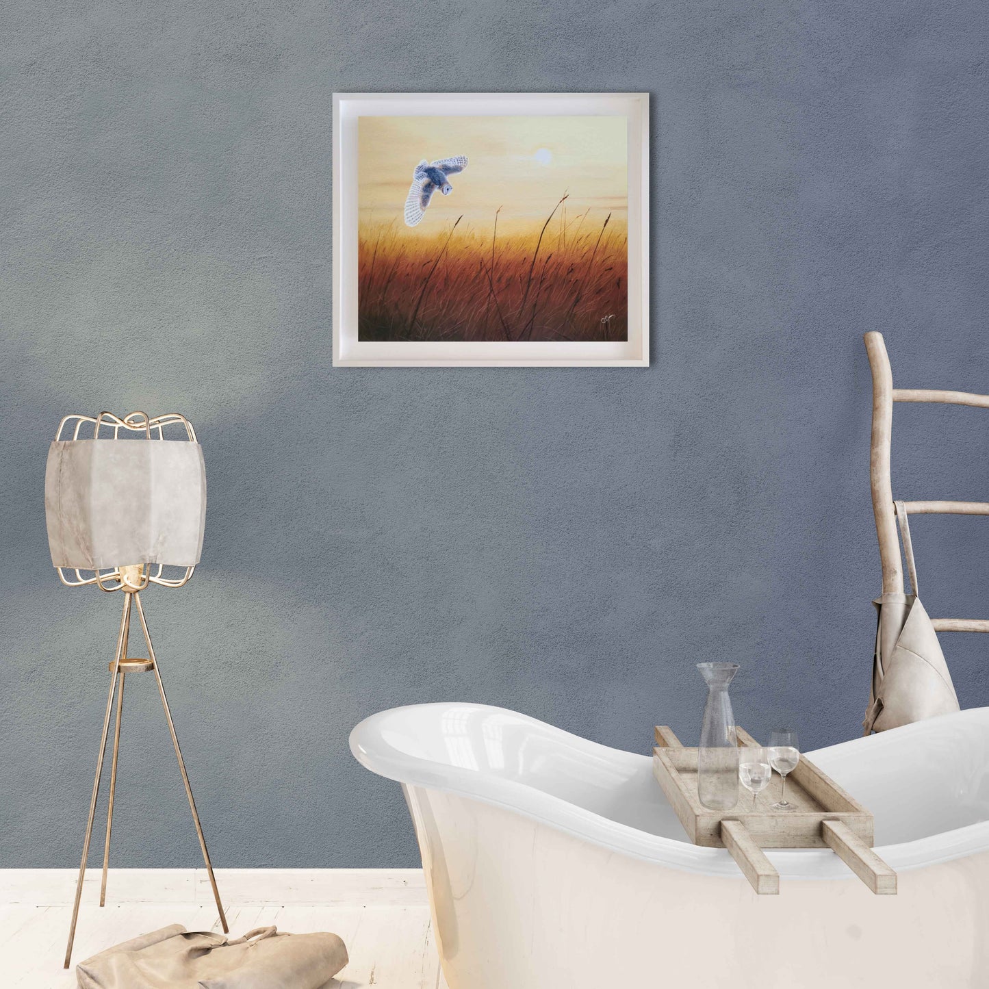 Twilight Wings: The Barn Owl