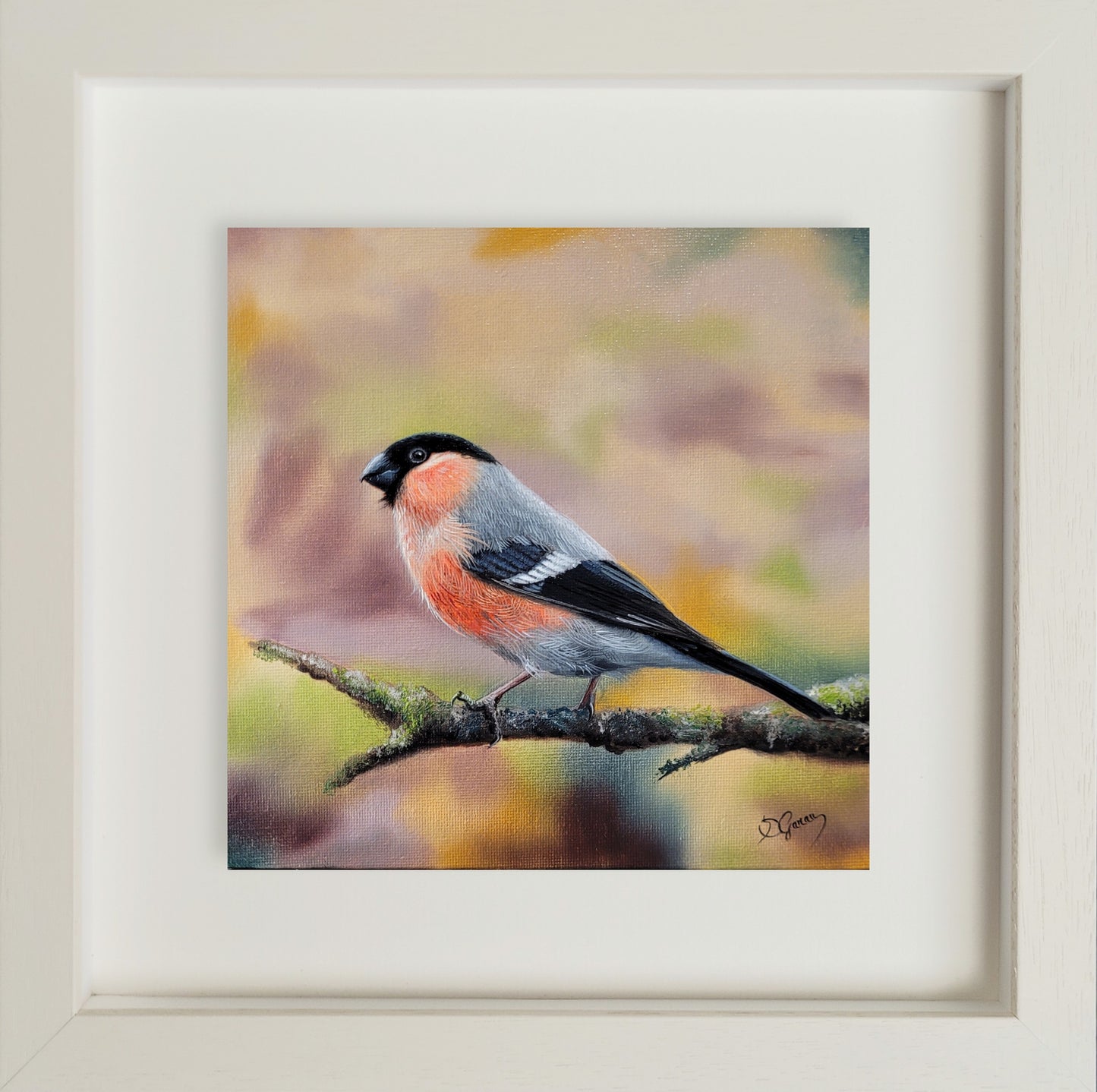 Perched with Grace - The Bullfinch