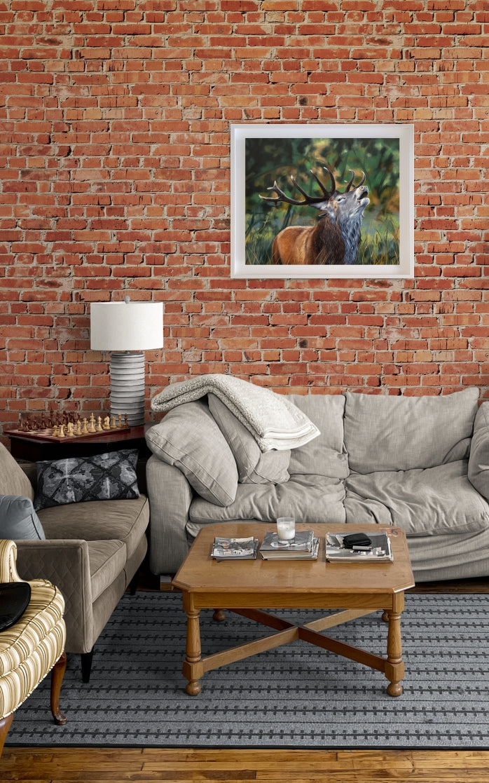 The Heart of The Rut - Red Deer