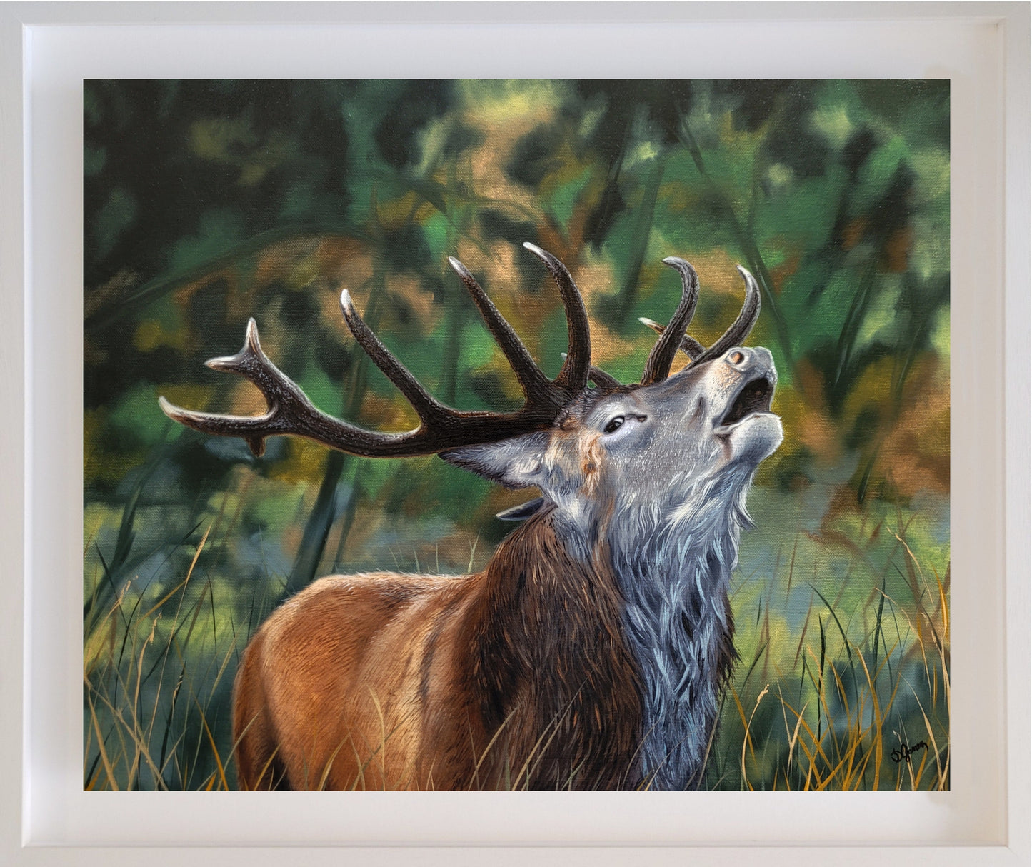 Red Deer Painting - Deer Stag