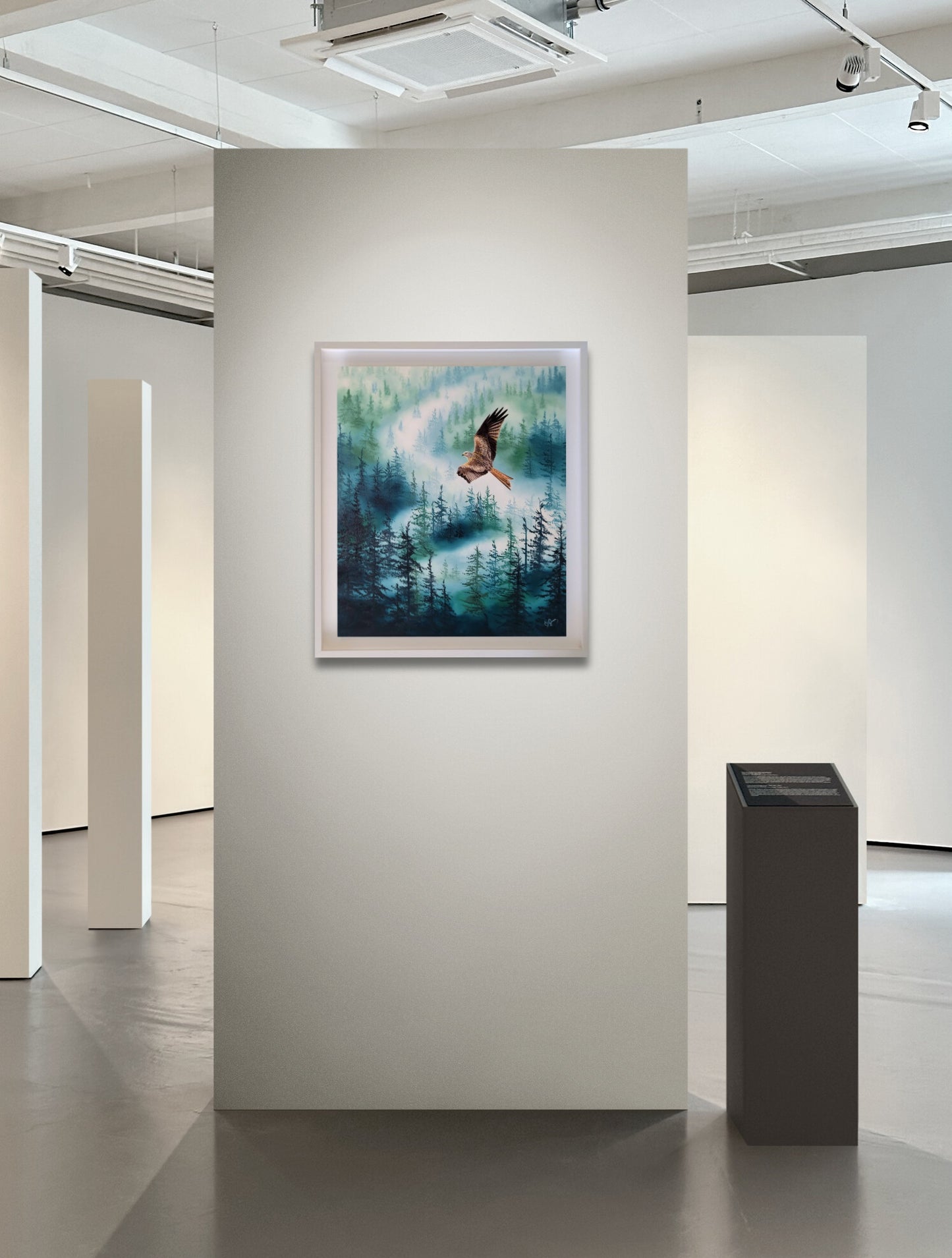 Mist & Majesty - The Red Kite