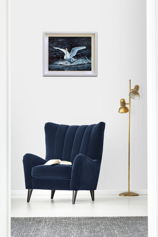 Splashing Grace: The Swan