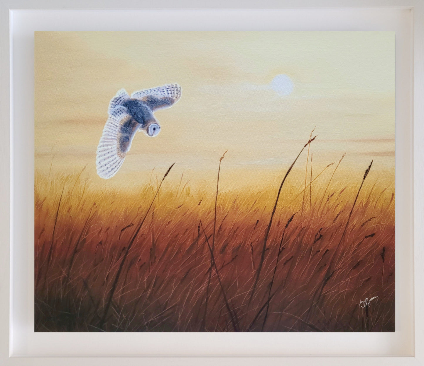 Twilight Wings: The Barn Owl