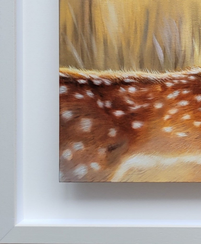 close-up of the frame of a deer painting with some details of the deer fur