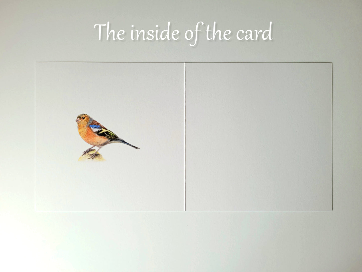 Chaffinch Card